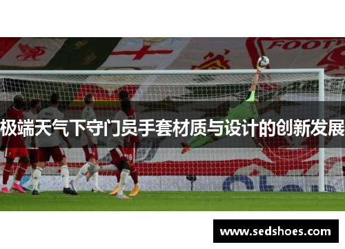 极端天气下守门员手套材质与设计的创新发展