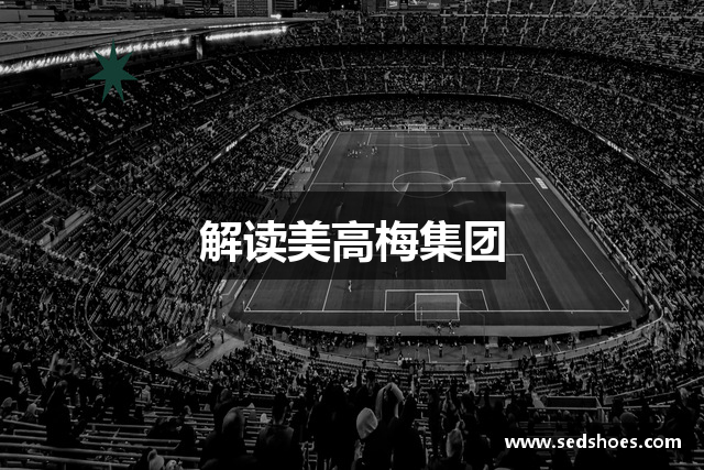 解读美高梅集团